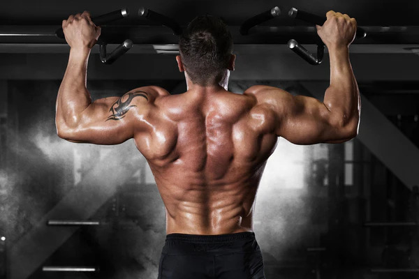 Quantum Leap Fitness – Dein Sprung in ein neues Körpergefühl